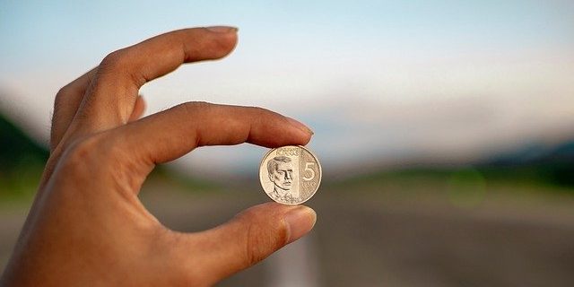 Coins Hand Coins Money Salary Hand 