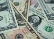 Dollar Money Currency Finance 