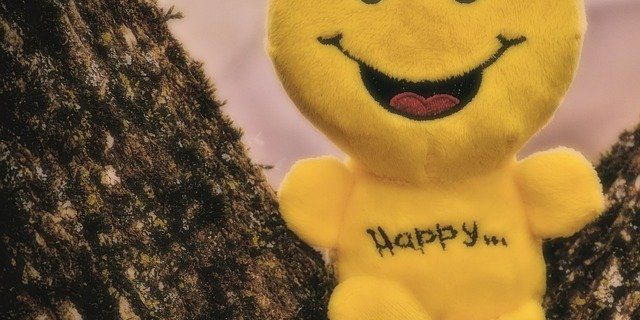 Happy Smiley Laugh Funny Emoticon 