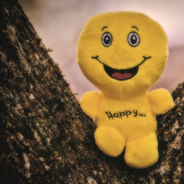 Happy Smiley Laugh Funny Emoticon 