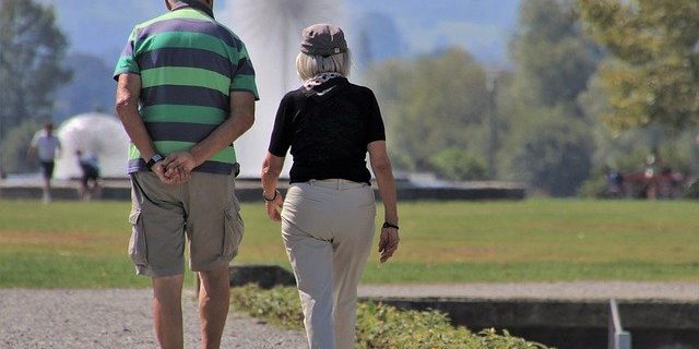 Senior Total Para Hands Pensions 